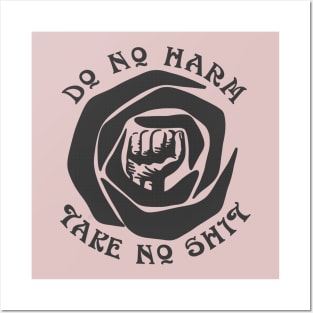 Do No Harm Take No Shit Posters and Art